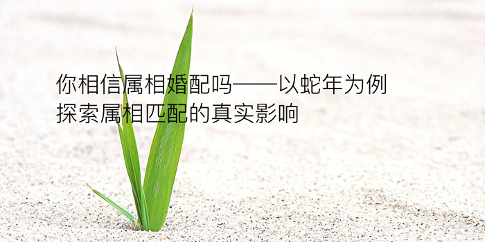 八字运程分解游戏截图