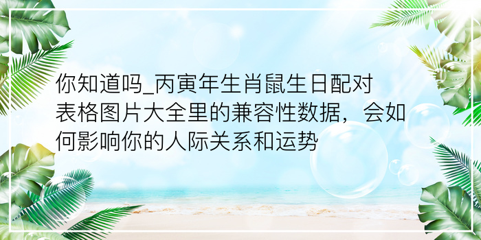 虎的婚配属相游戏截图