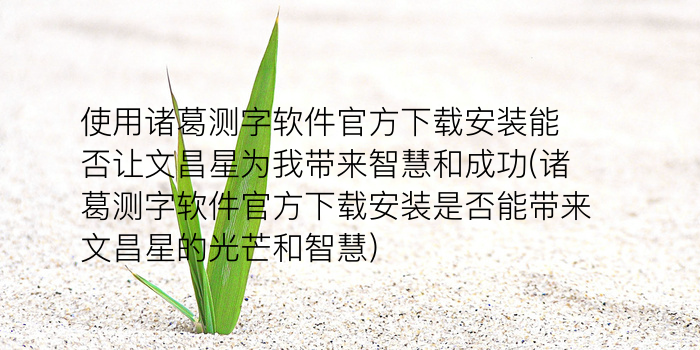 诸葛测字362游戏截图