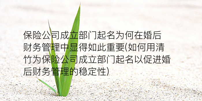 保险公司成立部门起名为何在婚后财务管理中显得如此重要(如何用清竹为保险公司成立部门起名以促进婚后财务管理的稳定性)