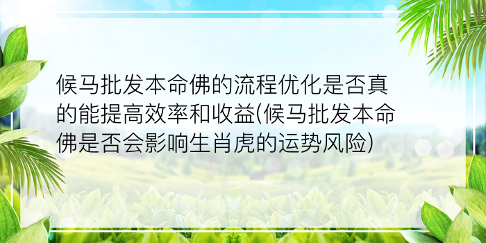 候马批发本命佛的流程优化是否真的能提高效率和收益(候马批发本命佛是否会影响生肖虎的运势风险)