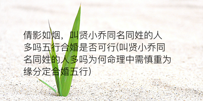 刘欣同名同姓游戏截图