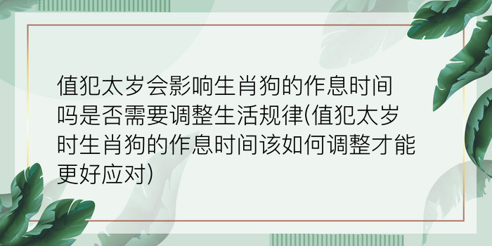 二零二算运网