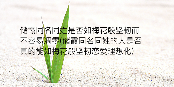 仝姓男孩起名字游戏截图