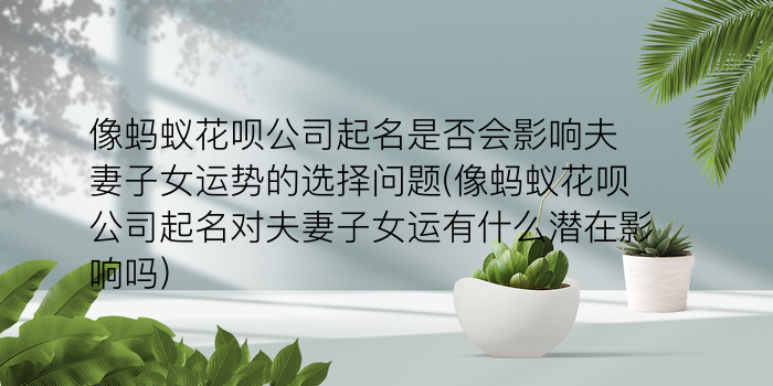 家政公司起名游戏截图