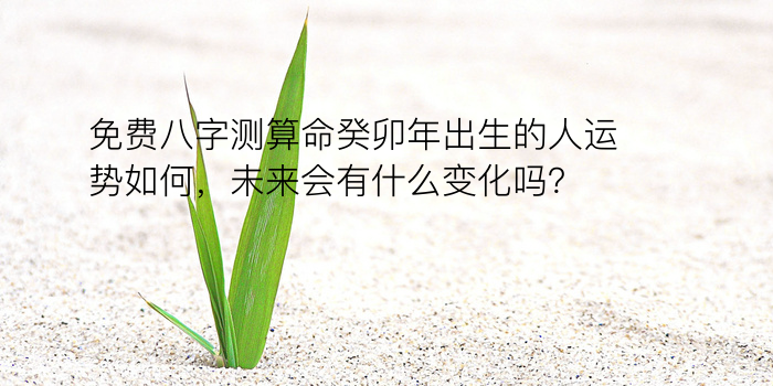 易经算命生辰八字游戏截图