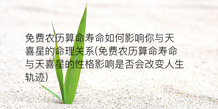 鑫测字游戏截图