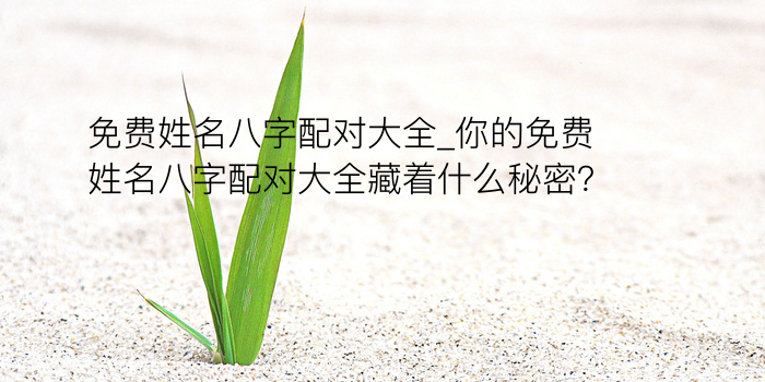 八字算命能信吗游戏截图