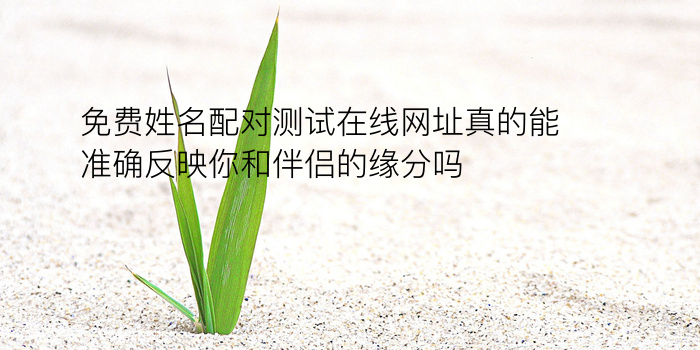 车牌号码测吉凶怎么算游戏截图