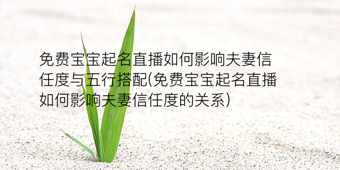 周易取名测分网游戏截图