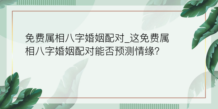 免费属相八字婚姻配对_这免费属相八字婚姻配对能否预测情缘？