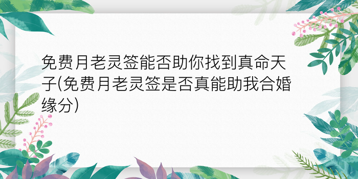 二零二算运网