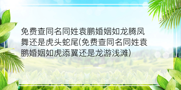 免费查同名同姓袁鹏婚姻如龙腾凤舞还是虎头蛇尾(免费查同名同姓袁鹏婚姻如虎添翼还是龙游浅滩)