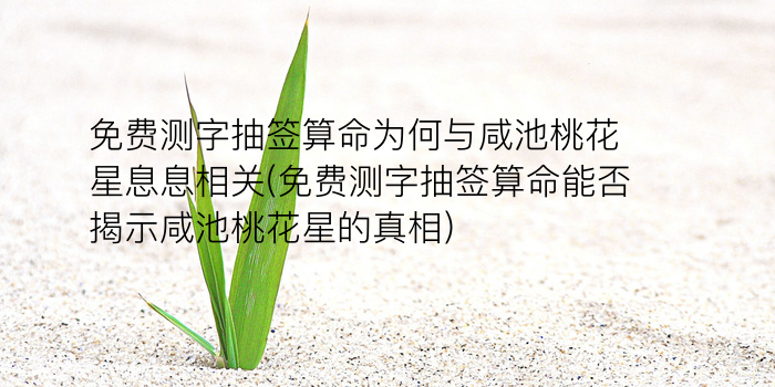 阿启算命网免费算命游戏截图