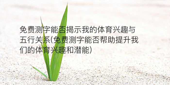 抽签算命诸葛神算测字游戏截图