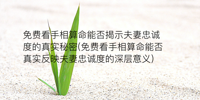 免费八字算命大全游戏截图