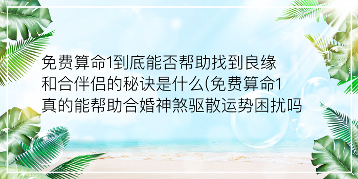 姓名匹配测试游戏截图