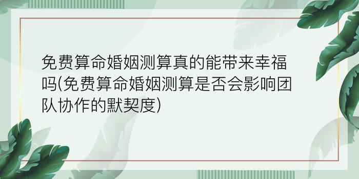 免费算命婚姻测算真的能带来幸福吗(免费算命婚姻测算是否会影响团队协作的默契度)