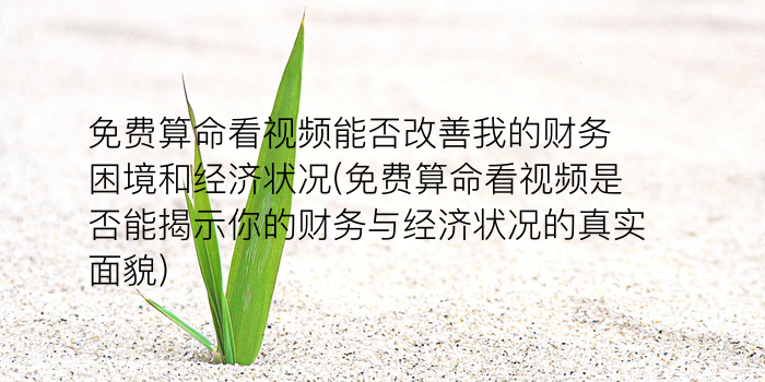 测姓名打分免费测试游戏截图