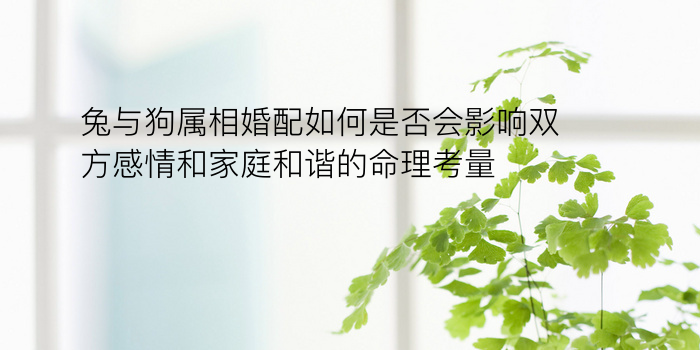 张柏芝八字运程游戏截图