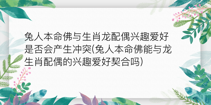 二零二算运网