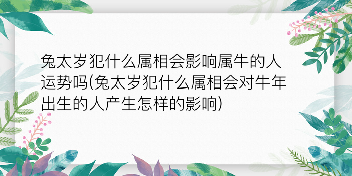 会算命的动物生肖兔游戏截图