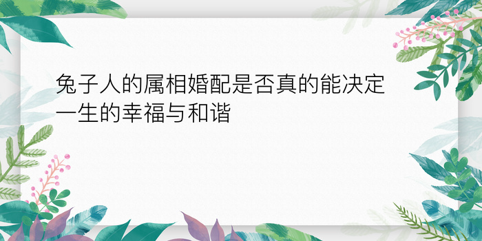 兔子人的属相婚配是否真的能决定一生的幸福与和谐