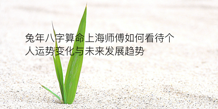 八字高分起名游戏截图