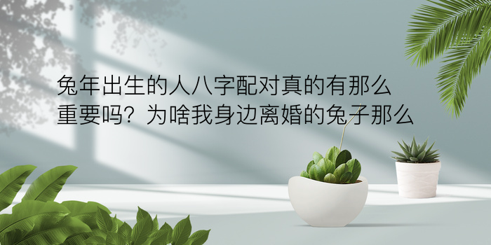 兔年出生的人八字配对真的有那么重要吗？为啥我身边离婚的兔子那么多