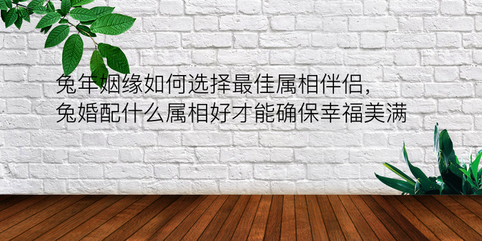 兔年姻缘如何选择最佳属相伴侣，兔婚配什么属相好才能确保幸福美满