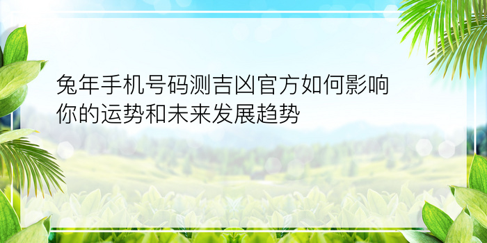 兔年手机号码测吉凶官方如何影响你的运势和未来发展趋势