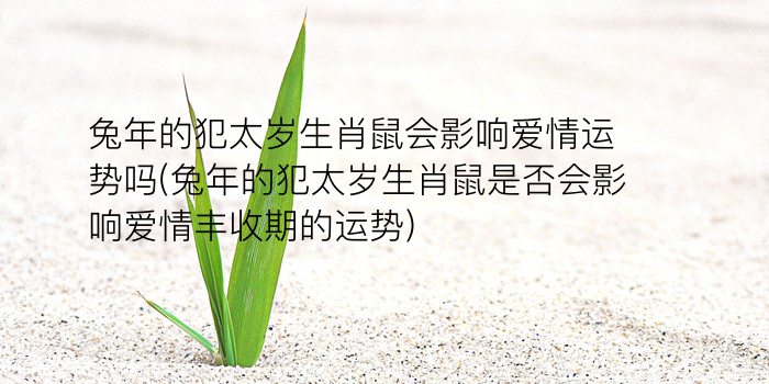 属狗的本命佛是什么佛游戏截图