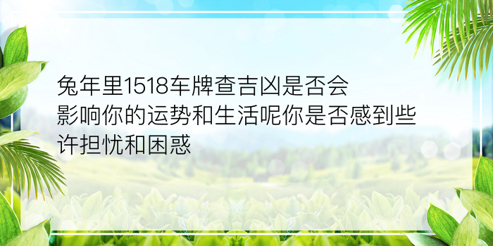 八字车牌号吉凶测试游戏截图