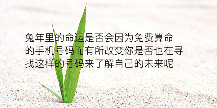 牛属相婚配表游戏截图