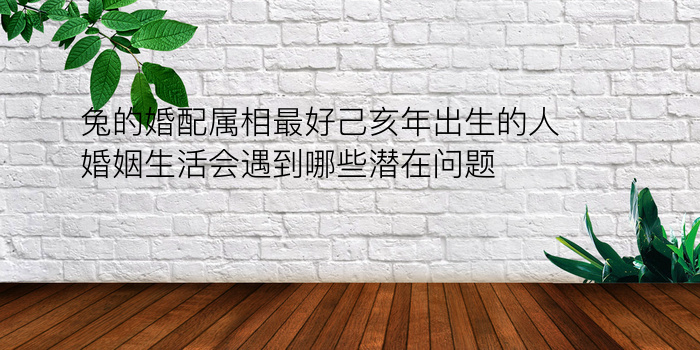 兔的婚配属相最好己亥年出生的人婚姻生活会遇到哪些潜在问题