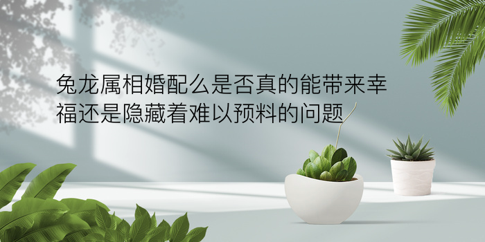 免费八字算命运游戏截图