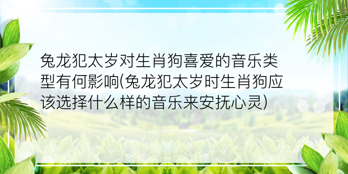 兔龙犯太岁对生肖狗喜爱的音乐类型有何影响(兔龙犯太岁时生肖狗应该选择什么样的音乐来安抚心灵)