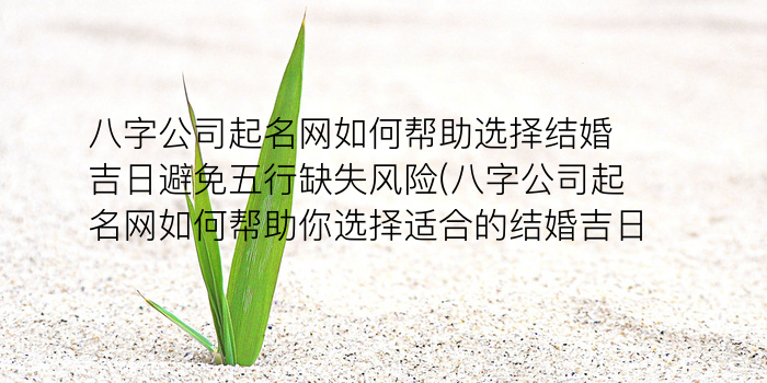 美业公司起名大全游戏截图