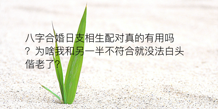 八字算命硬游戏截图