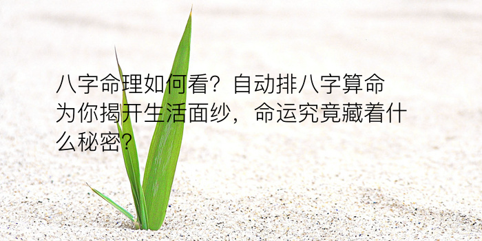 爱情八字算命游戏截图