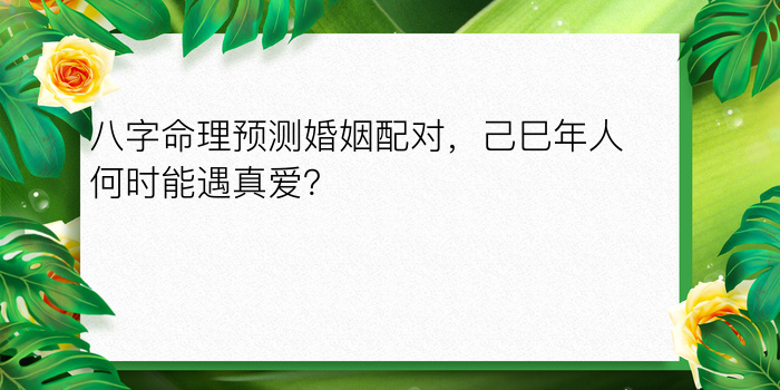 命格五行八字查询表游戏截图