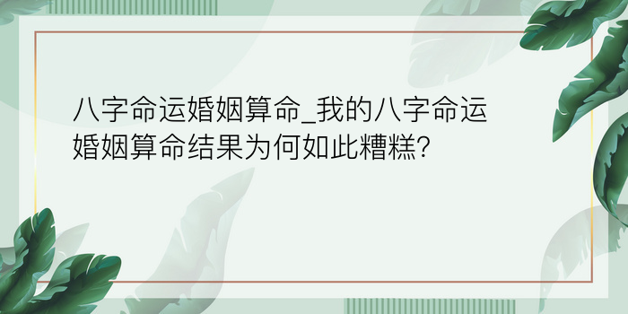 八字起名查询游戏截图