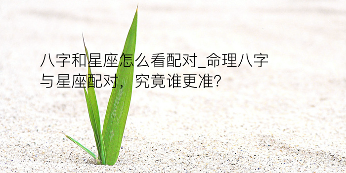 八字桃花算命游戏截图