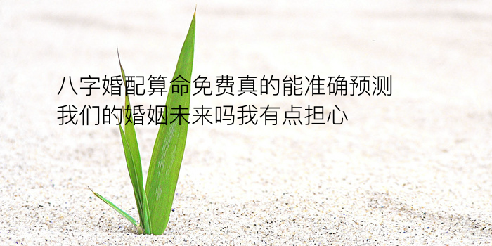 八字运程今年游戏截图