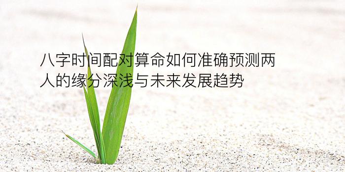 五行生辰八字游戏截图