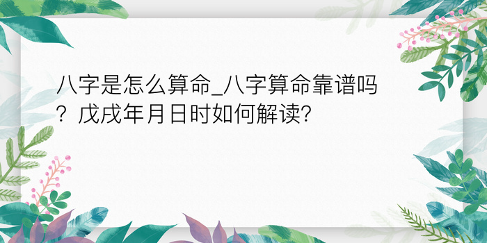 四柱八字算命游戏截图