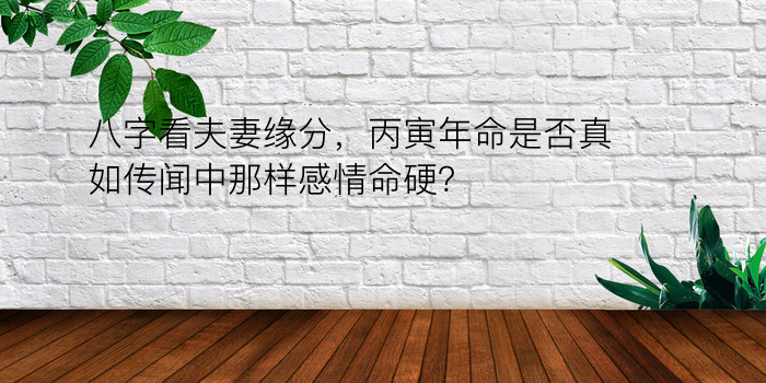 八字看夫妻缘分，丙寅年命是否真如传闻中那样感情命硬？