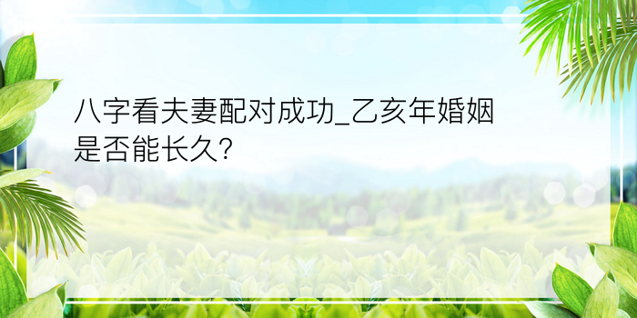 八字看夫妻配对成功_乙亥年婚姻是否能长久？