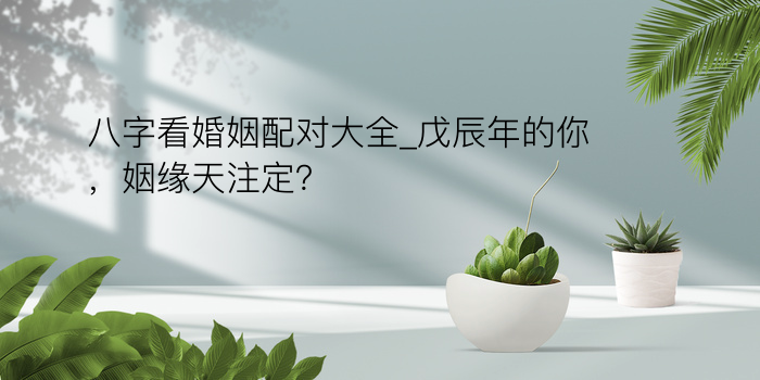 八字看婚姻配对大全_戊辰年的你，姻缘天注定？