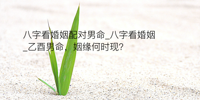 算命八字运程游戏截图